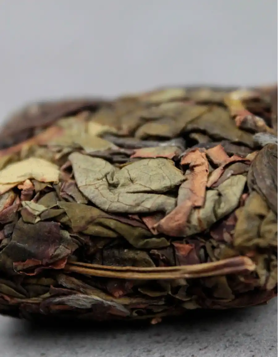 «Жаопин Шуй Сянь» фото 4