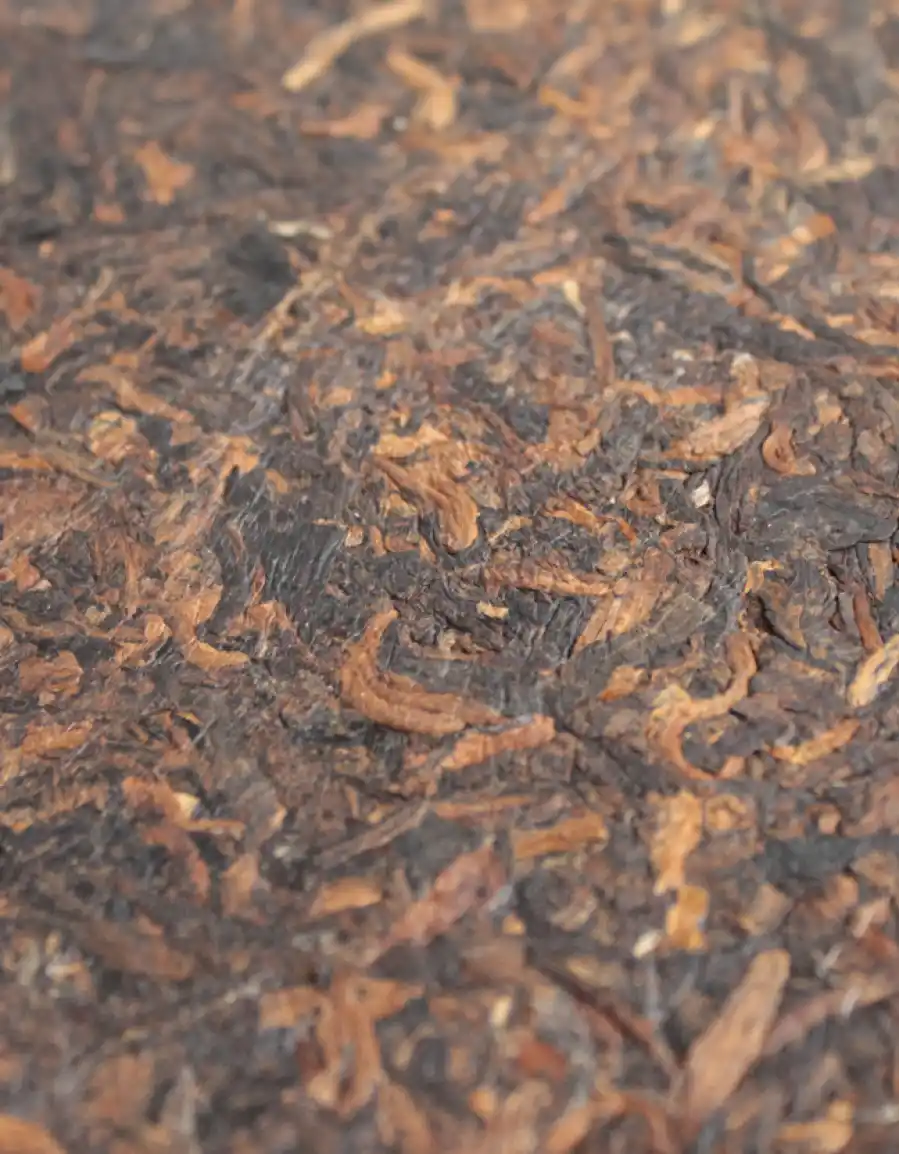 Шу Пуэр Двойной Удар фото 3