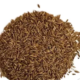 Кумин семя (Зира)