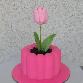 Муссовый тортик