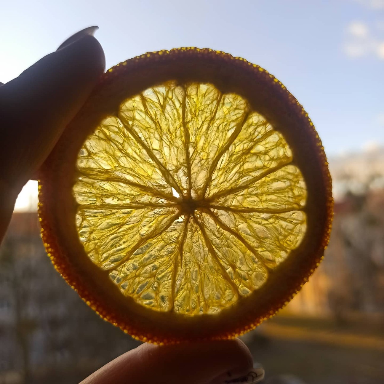 Фруктовые чипсы апельсин, 100 гр.