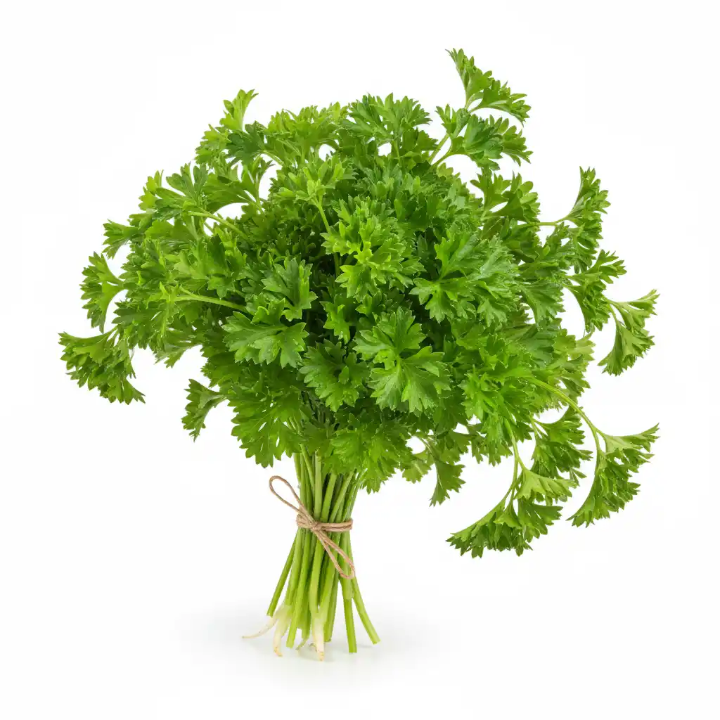 Петрушка листовая, 1 кг (опт)