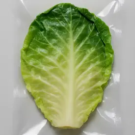 Капустный лист отварной, в/у, 1 кг (опт)