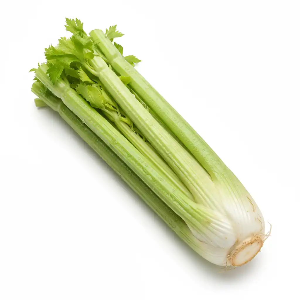 Сельдерей стебель, 1 кг (опт)