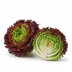 Салат Лола Россо, 1 кг (опт)