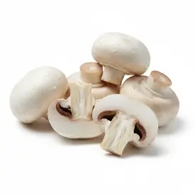 Грибы шампиньоны, средние, 1 кг (опт)