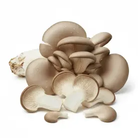 Грибы вешанки, вес., 1 кг (опт)