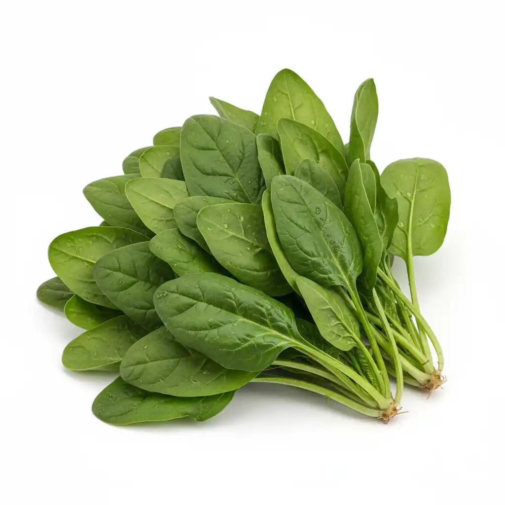 Шпинат свежий, РБ, 1 кг (опт)