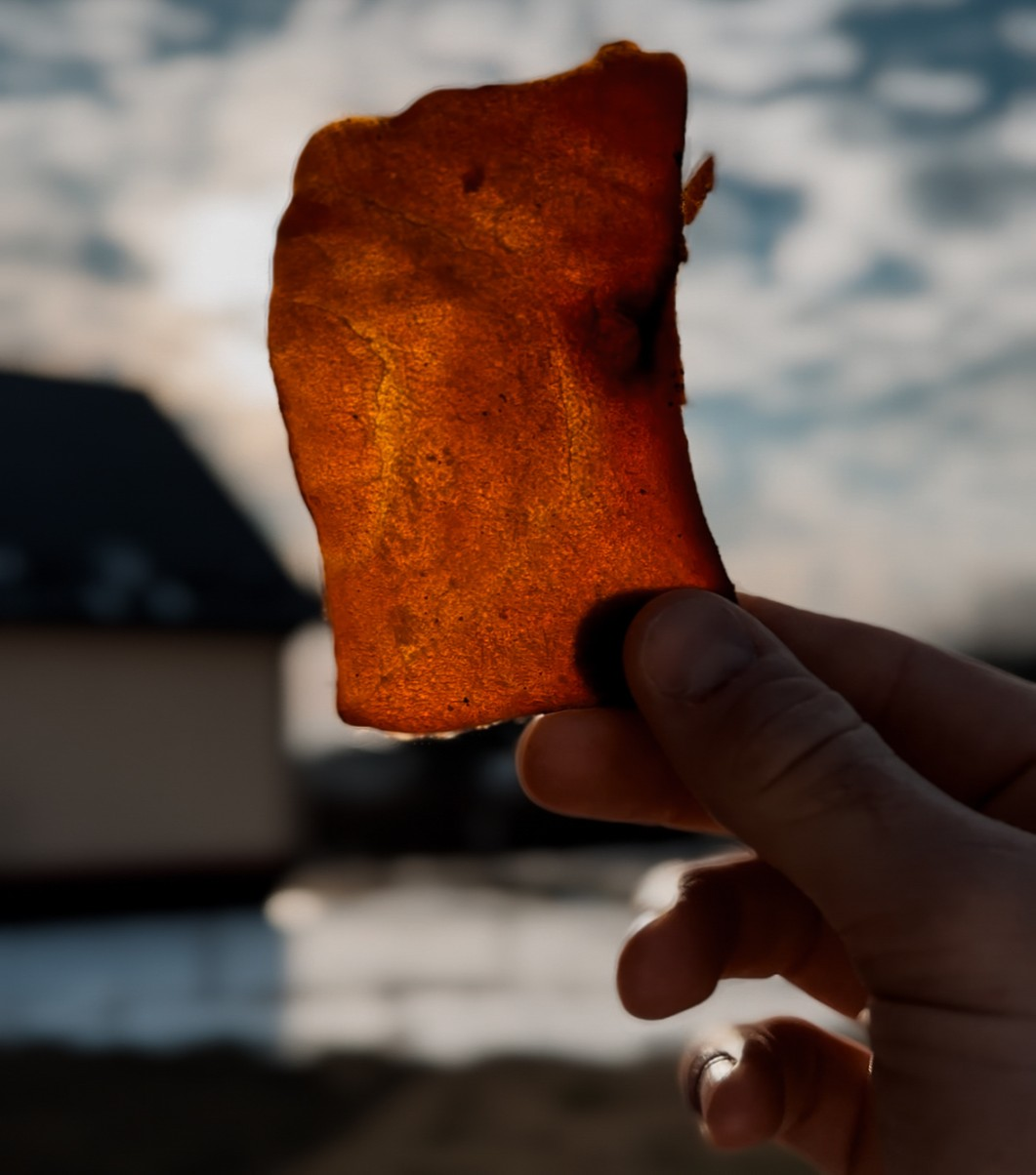 Чипсы из тунца фото 2