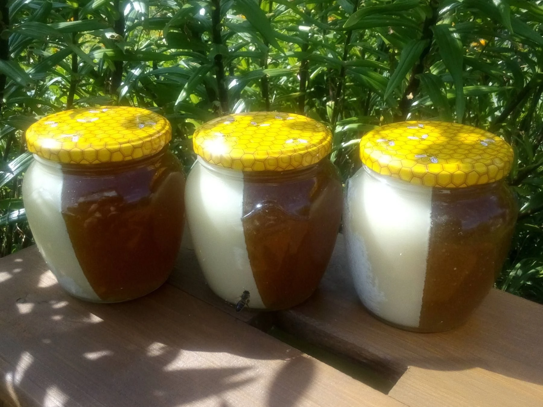 Двухслойный мед, 500мл. фото 1