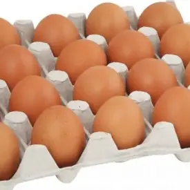 Яйца С1