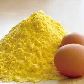 Яичный порошок