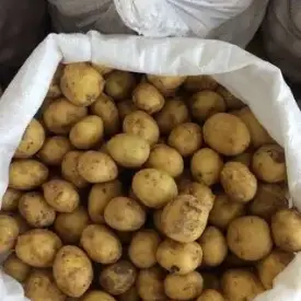 Картофель молодой