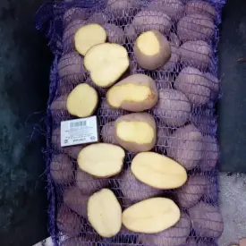 Картофель продовольственный
