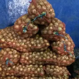 Лук