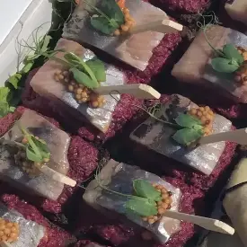 Сельдью на свекольной подушке