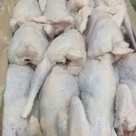 Тушка курицы-несушки