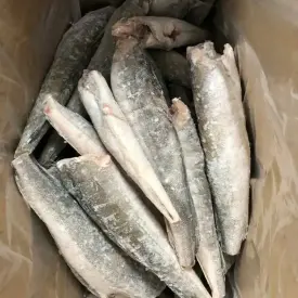 Хек замороженный