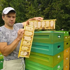 Сотовый мед в мини-рамках, 1 шт.