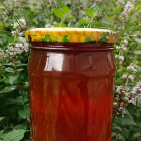 Мед лесное разнотравье, 0.45 л.