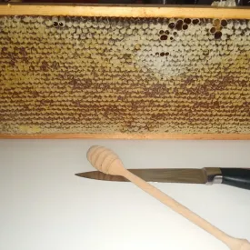 Мед целой рамкой