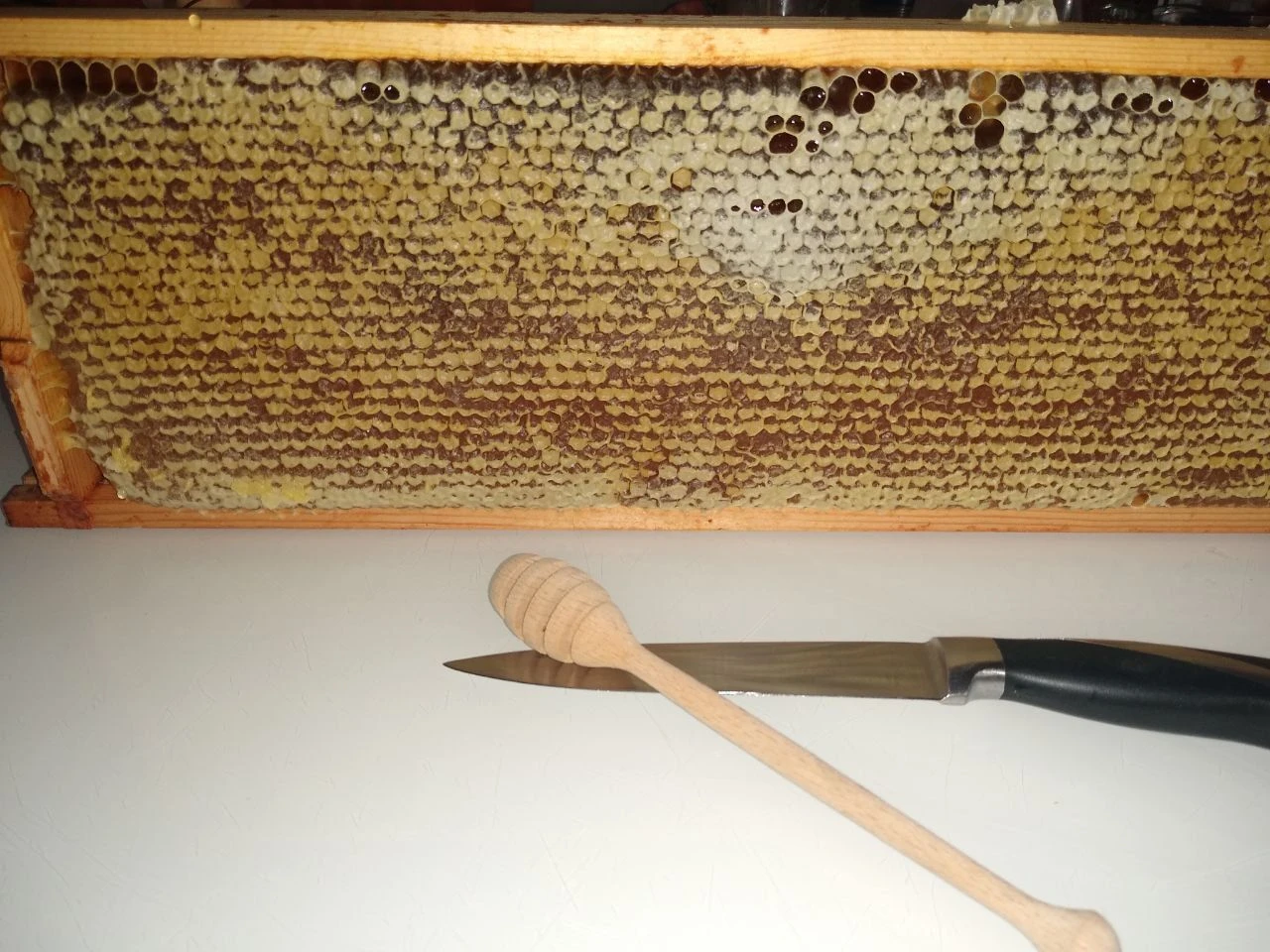 Мед целой рамкой фото 1