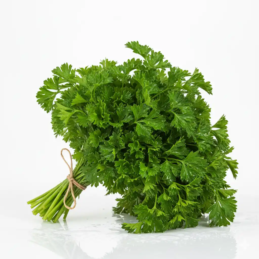 Петрушка листовая