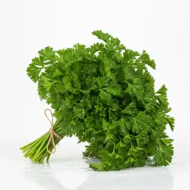 Петрушка листовая