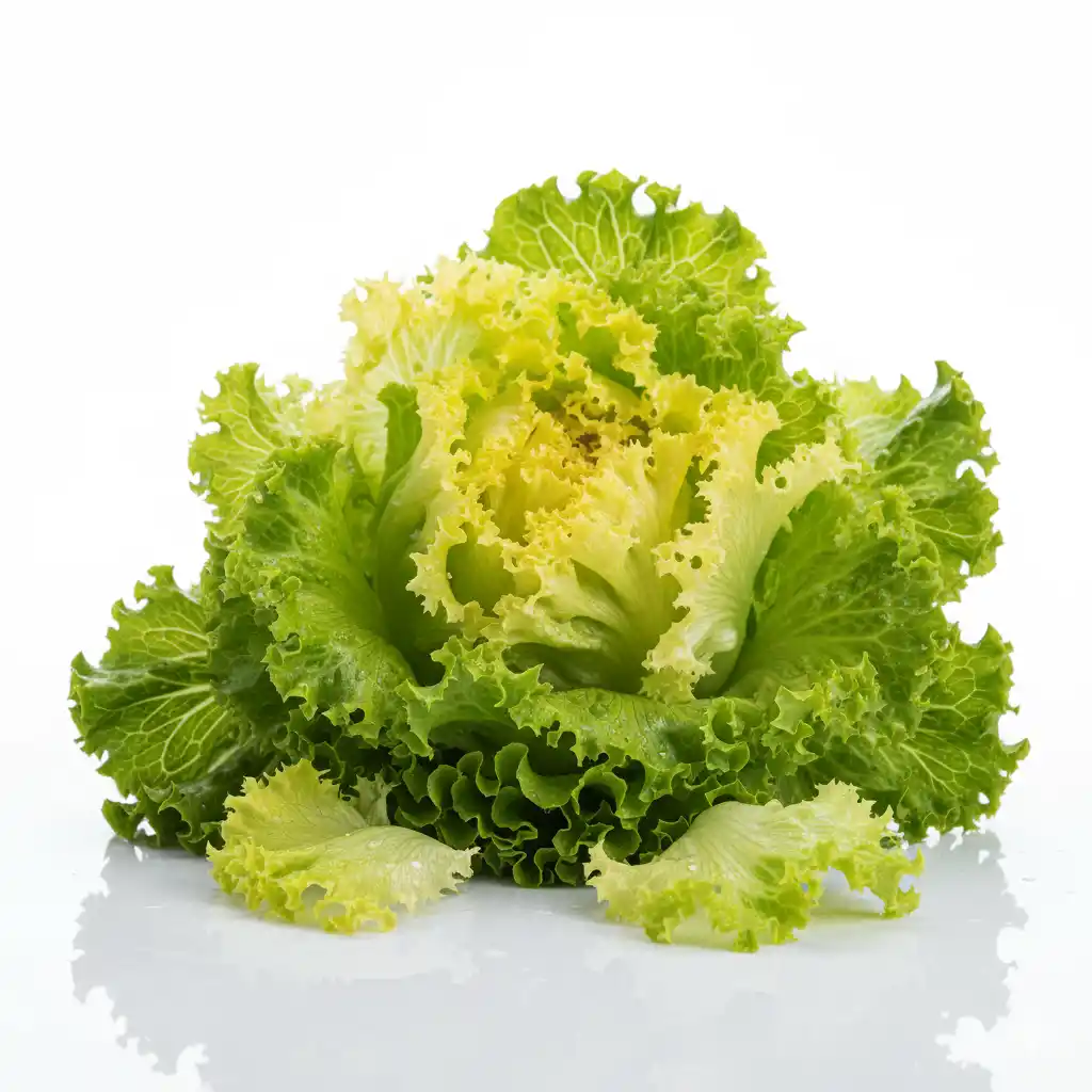 Салат Лола Бьондо