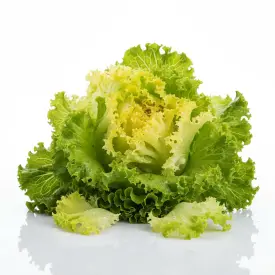 Салат Лола Бьондо