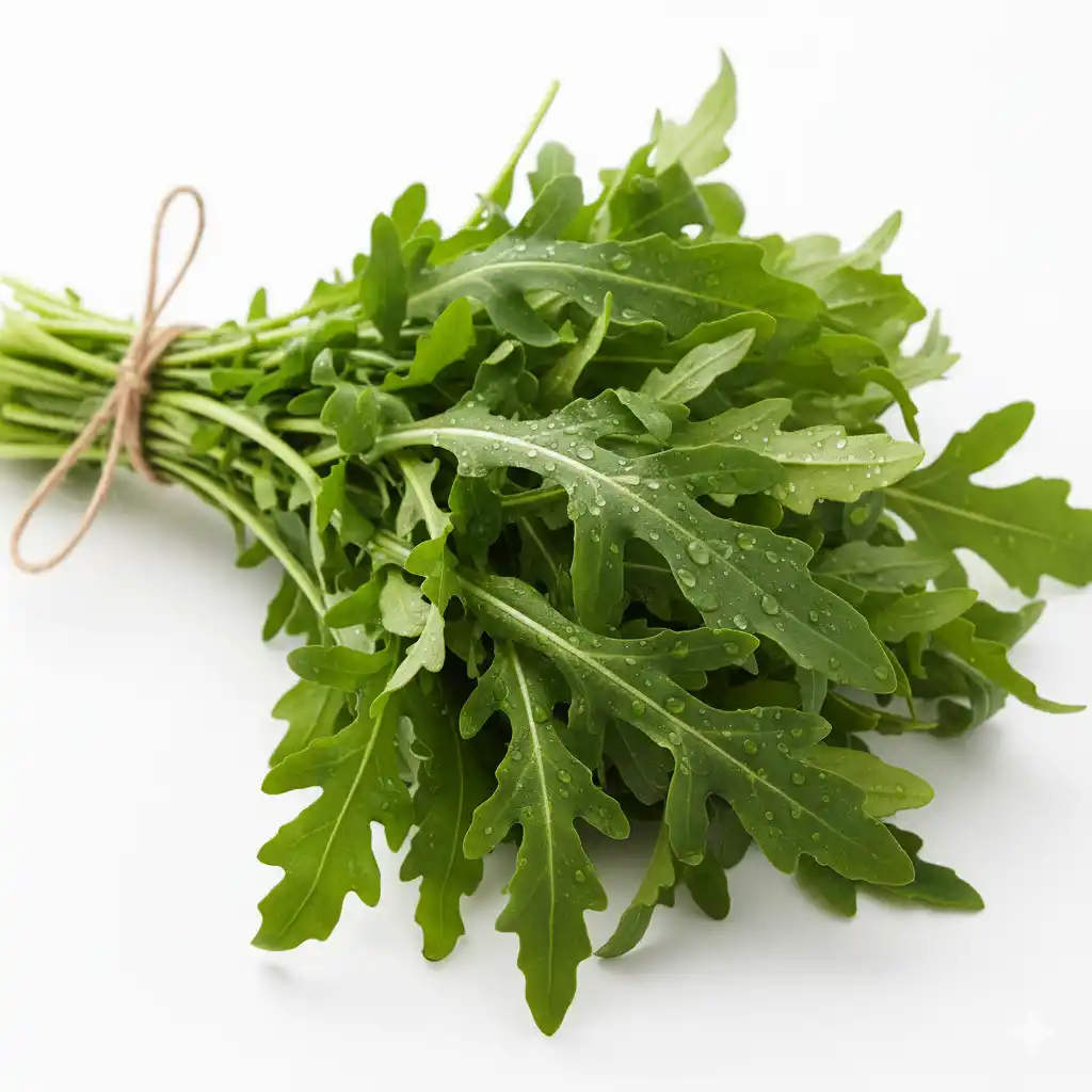 Салат Рукола