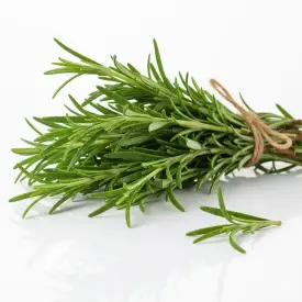 Розмарин