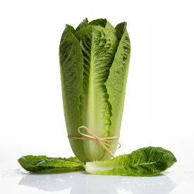 Салат Ромэн