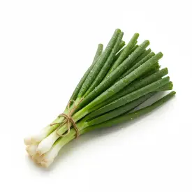 Лук зеленый