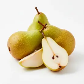 Груша «Конференция»