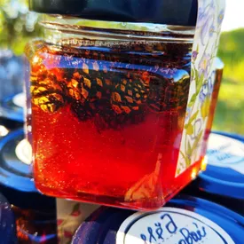 Сосновое варенье