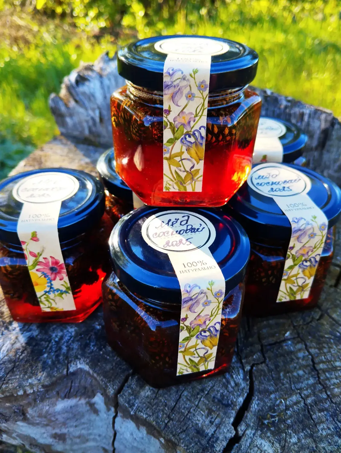 Сосновое варенье фото 2