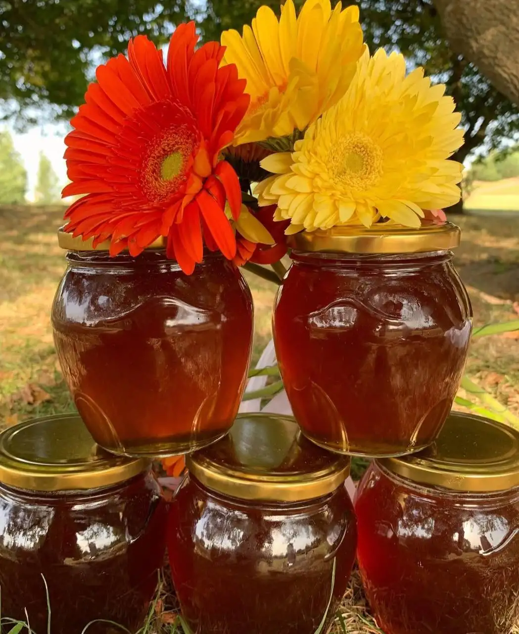 Мёд лесной, 1 кг