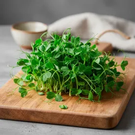 Микрозелень гороха, 15 г