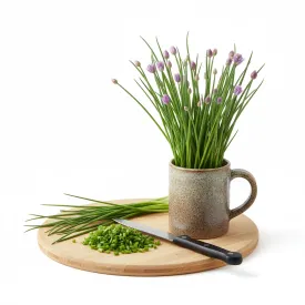 Шнитт-лук, 2 кг