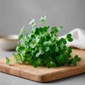 Микрозелень свежая Базилика зеленого, 10 г