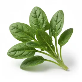 Шпинат (ветка), 1 кг