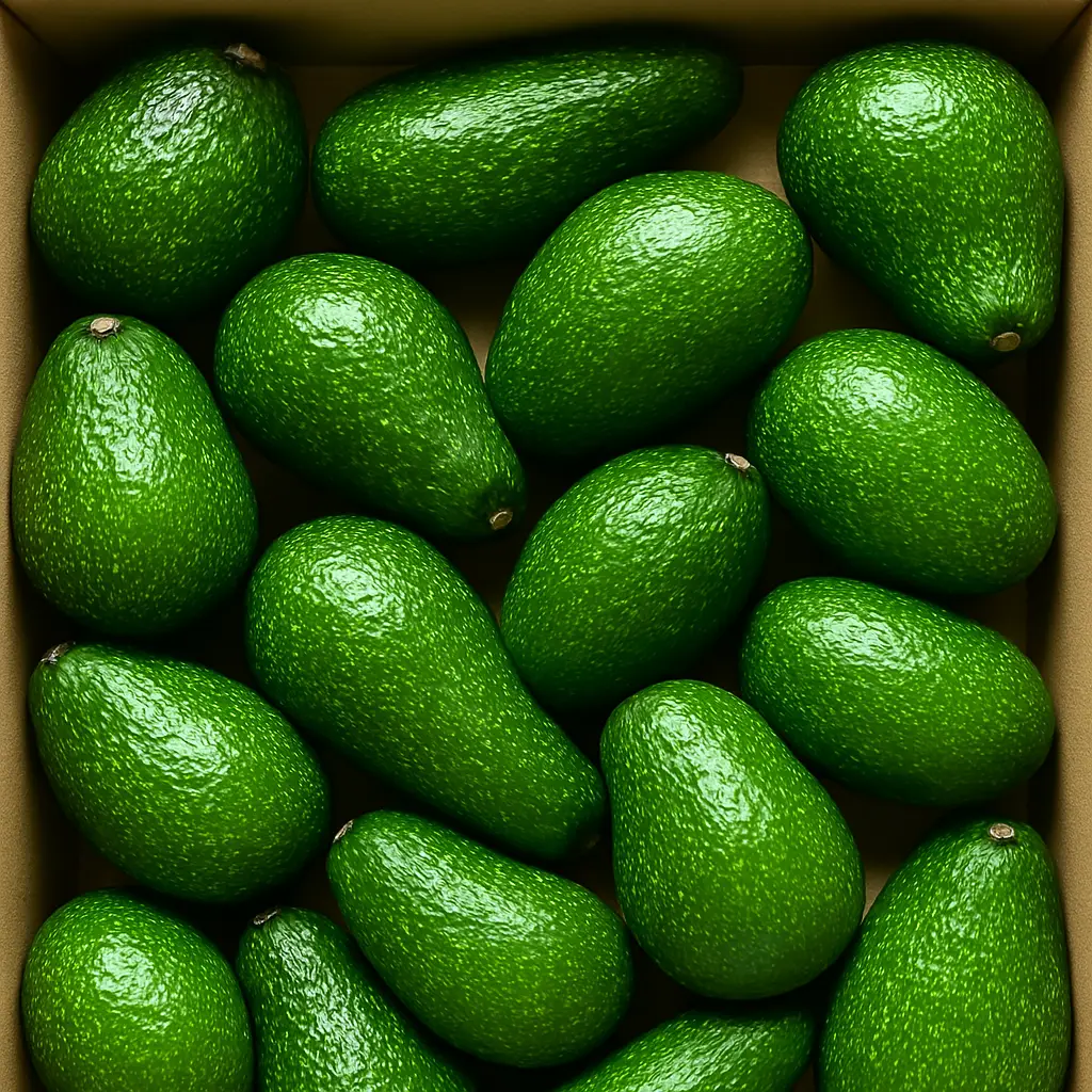 Авокадо зеленое, 4 кг