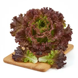 Салат Лолло Россо, 2 кг