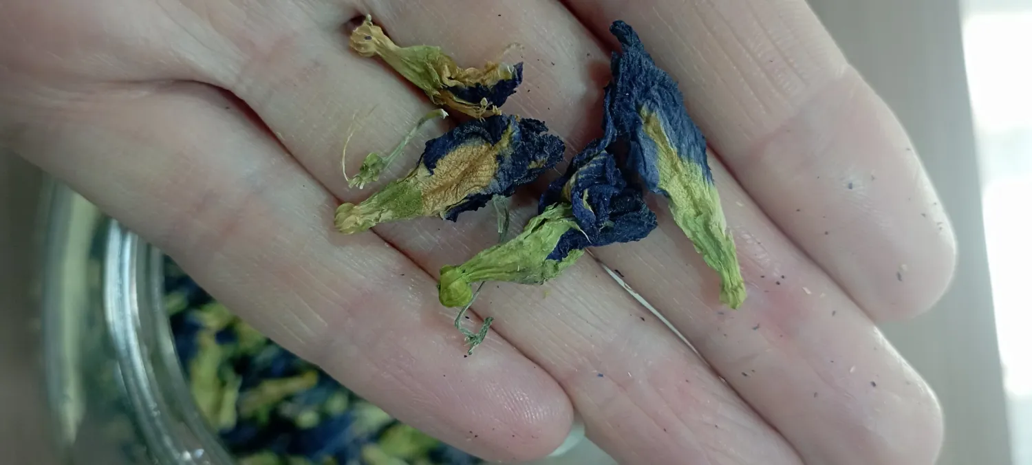 Синий чай АнЧан фото 3