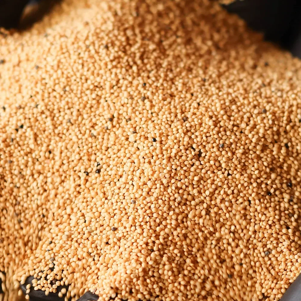 Семечки-зернышки амаранта, 1кг. фото 2