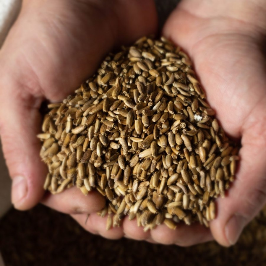 Масло расторопши, 500 мл фото 3