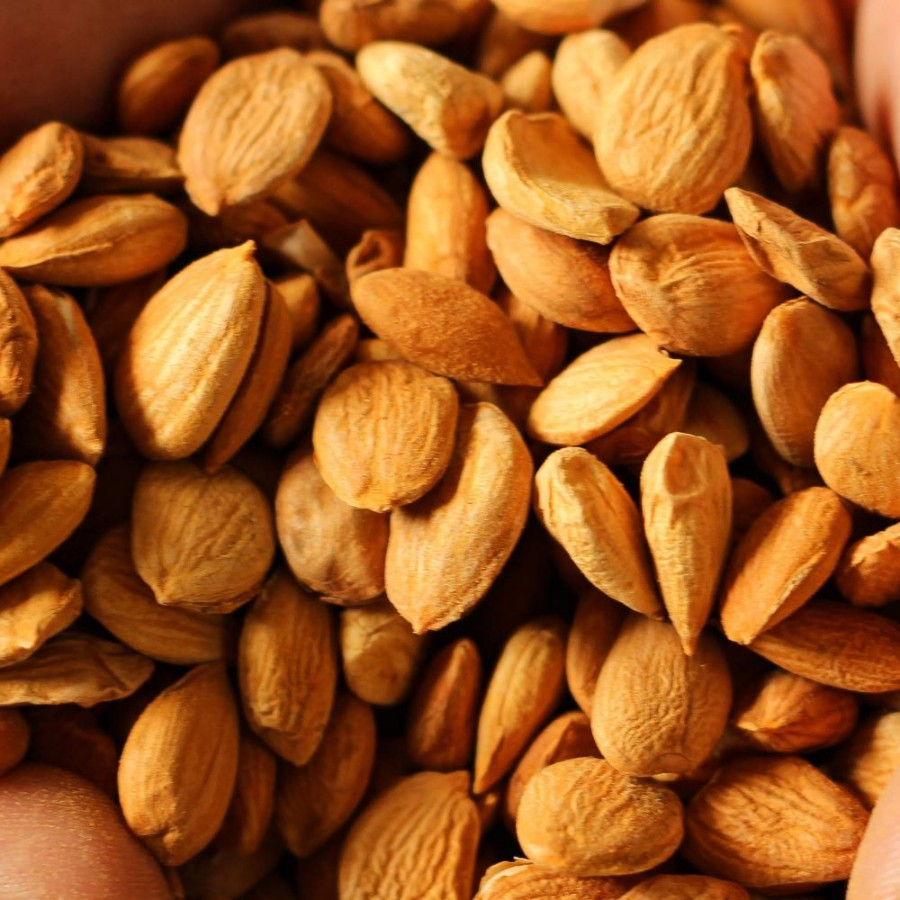 Масло абрикосовой косточки фото 4