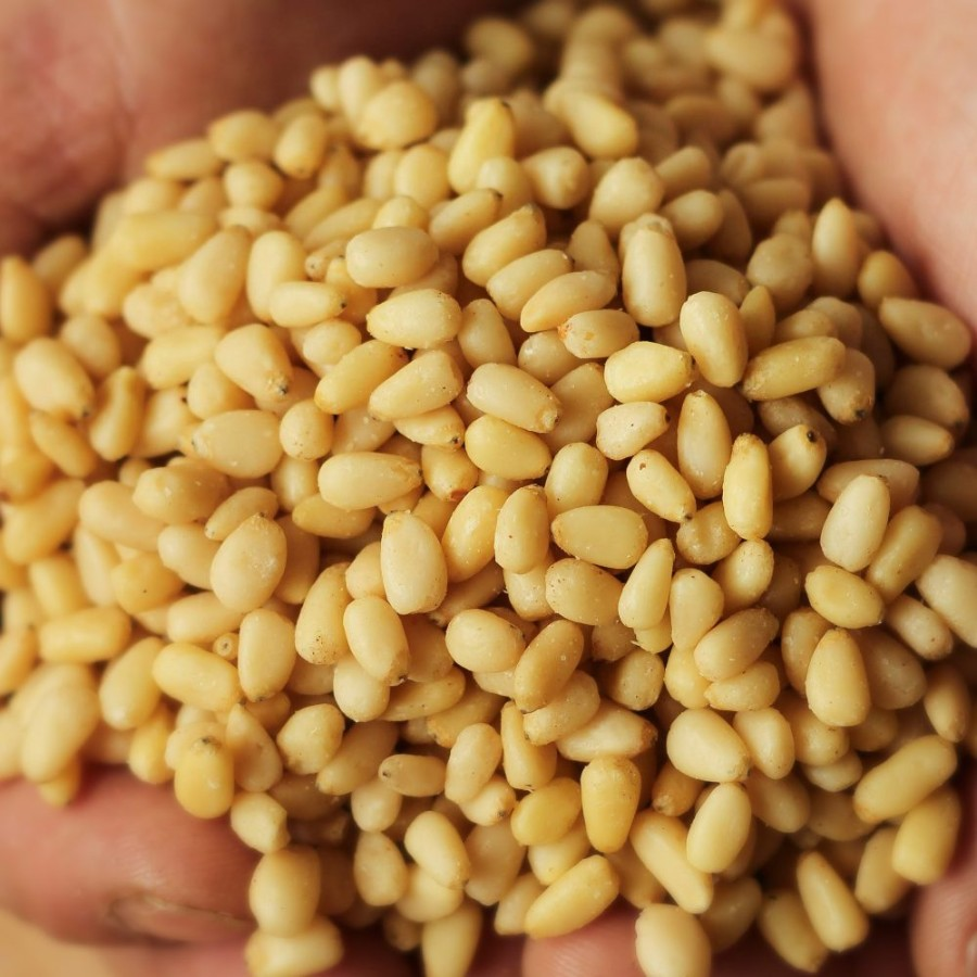 Масло кедра фото 5