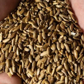 Семечки-зернышки расторопши, 200 гр.